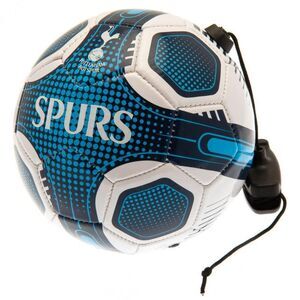Tottenham Hotspur FC Skills Training Ball / White/Navy Blue